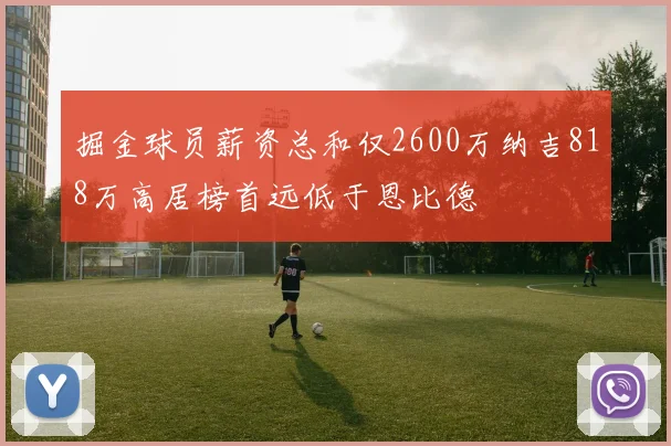 掘金球员薪资总和仅2600万纳吉818万高居榜首远低于恩比德